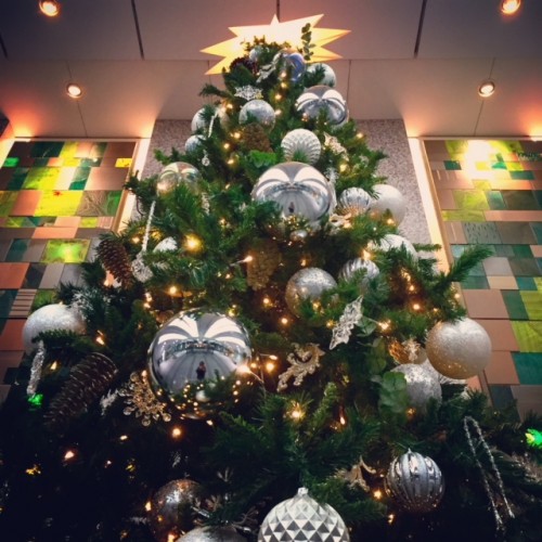 東京駅　日本橋口　クリスマスツリー