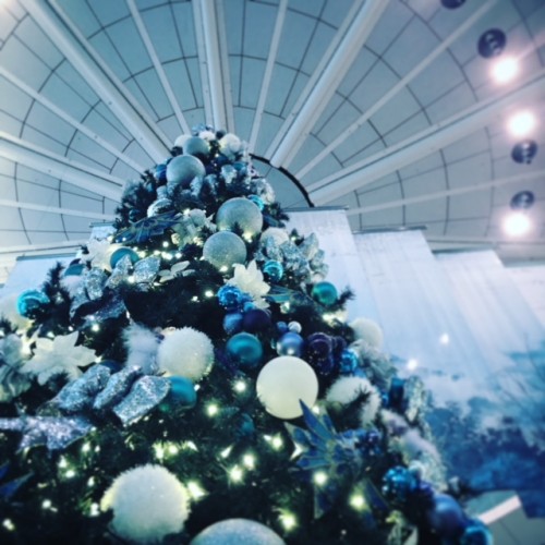 羽田空港第２ターミナルのクリスマスツリー2017