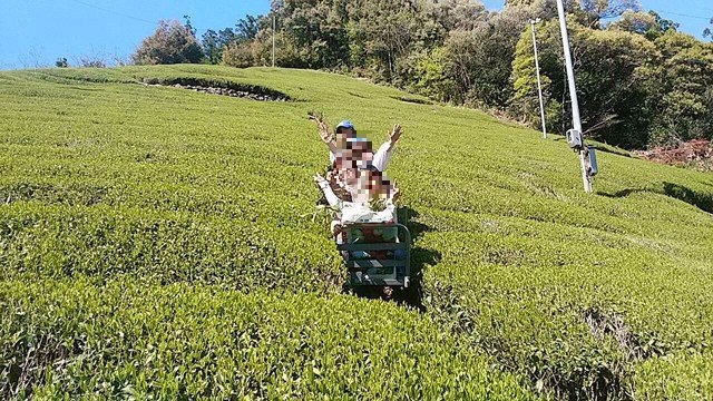 仁淀ブルーと池川グリーンの休日